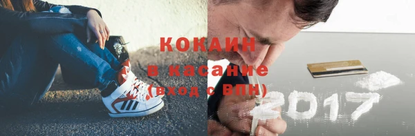 прущие грибы Абинск