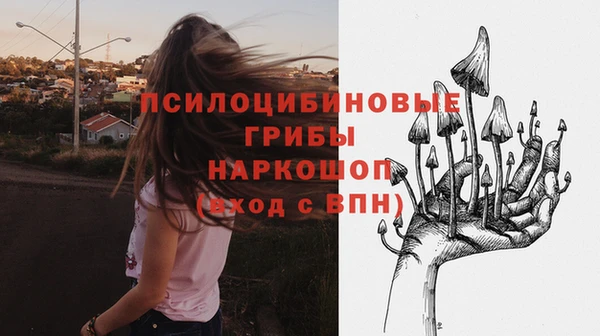 jwh Алзамай