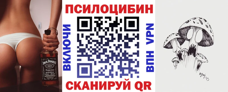 наркота  hydra вход  Галлюциногенные грибы Cubensis  Кемерово 